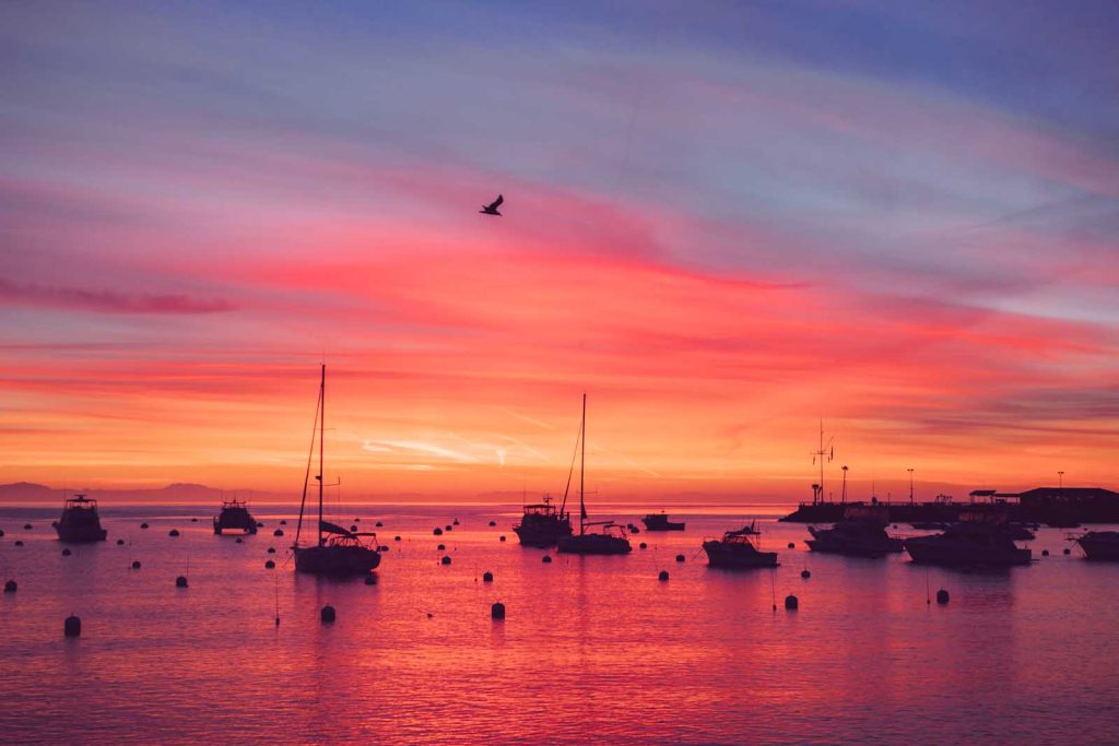 Catalina Island, California – I chickened out; But somehow got rewarded